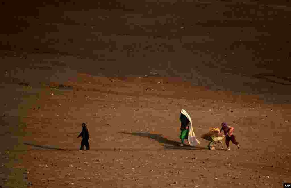 An Afghan child pushes a wheelbarrow as he transports firewood on the outskirts of Mazar-e Sharif. (AFP/Farshad Usyan)