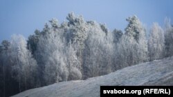 Фота Ўладзя Грыдзіна.