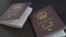 A handout video grab from footage published on the social media pages of Ukrainian President Volodymyr Zelenskyy shows alleged Chinese passports of two men captured by Ukraine's military. 