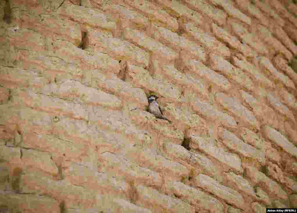 Son illərin müharibəsinin izlərini bu tarixi abidə də özündə daşıyır.