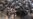 Minor Clashes Reported At Kyiv Anticorruption Demonstration
