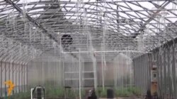 გზა ევროპის ბაზრისკენ