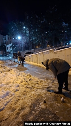 ბაგები. 21 იანვარი, 2026 წელი