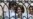 Prime Minister's Wife Treads On Kremlin Toes