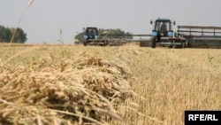 В окупованому Росією Криму збиральна кампанія зернових затягується через дефіцит пального та логістичні проблеми (фото ілюстративне)