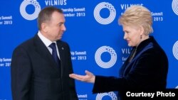 Кіраўнік МЗС Беларусі Ўладзімер Макей і прэзыдэнт Літвы Даля Грыбаўскайце на саміце "Усходняга партнэрства" ў Вільні. 