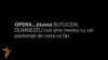 DescOpera sau vocile Operei din Chișinău la Butuceni