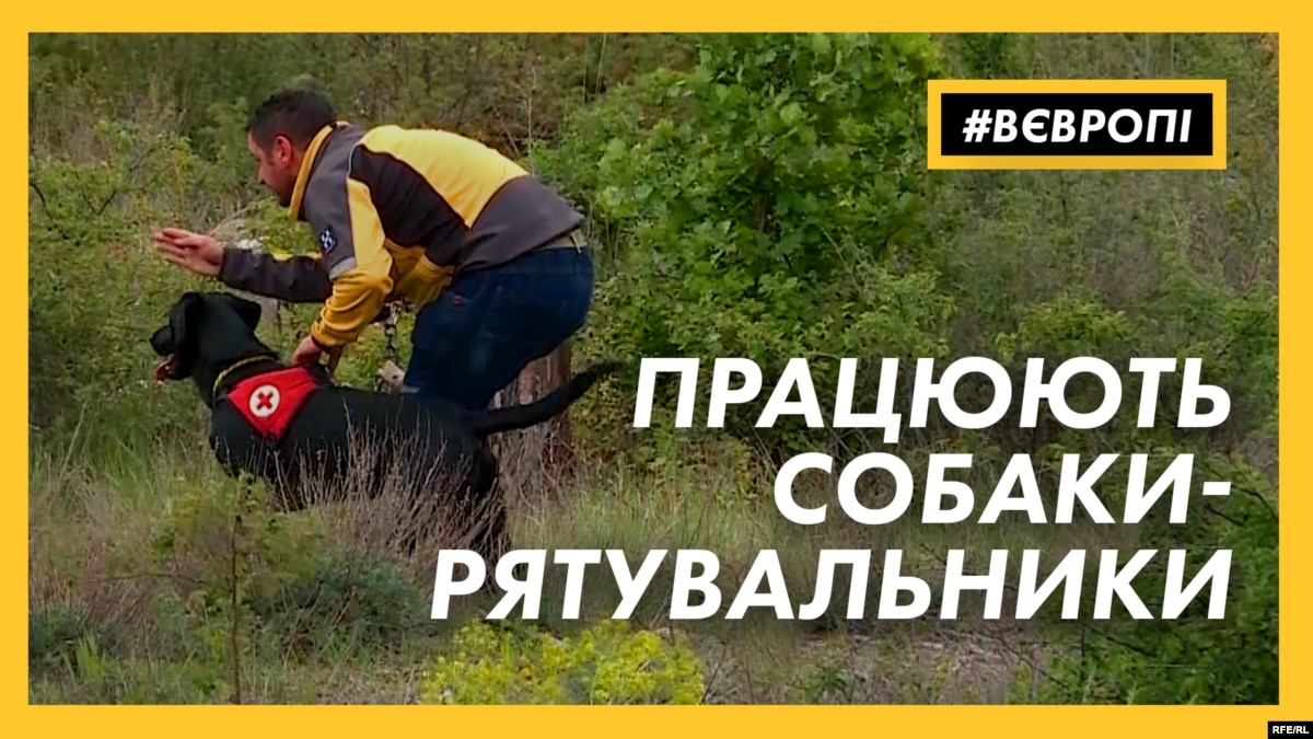 oi5.ru: Швейцария: в горах людей спасают собаки Швейцария: в горах людей спасают собаки