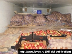 Прибывшие из Беларуси в Россию и признанные «санкционными» яблоки.