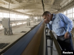 The director of a Kazakh grain-processing firm tests the quality of a batch of wheat at a facility near the village of Novoselovka. (file photo)