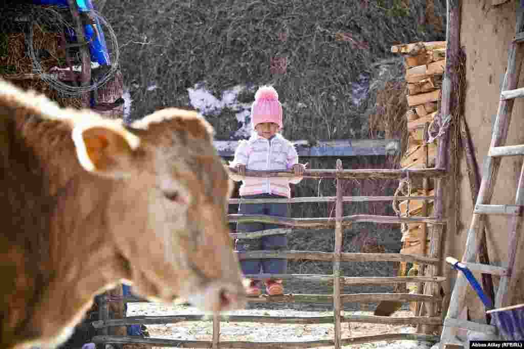Tövlə ətrafında oynayan uşaq.