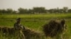 Afghan Election Panel Worried About Security In South