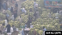 Punjab Province has faced weeks of sickening, and toxic, smog.