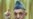 In Second Term, Karzai Faces Immense Task