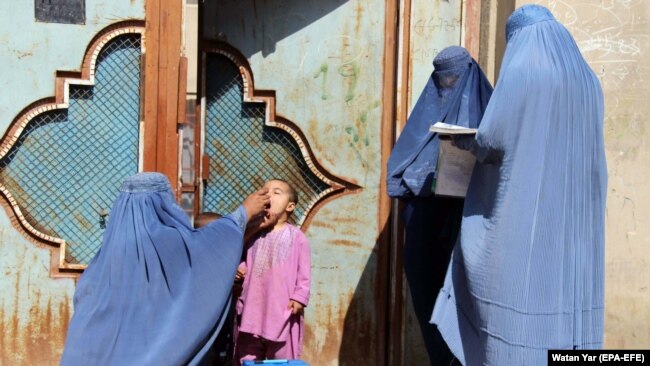 ارشیف: په هلمند کې کور په کور د واکسین له کمپاینه یو انځور