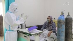 داکتر حین صحبت با یک بیمار مبتلا به ویروس کرونا در شفاخانه افغان جاپان در کابل