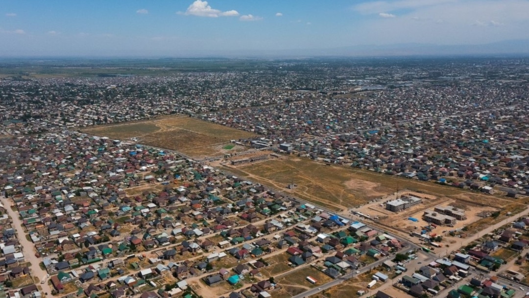 Порно ұлы жалайды