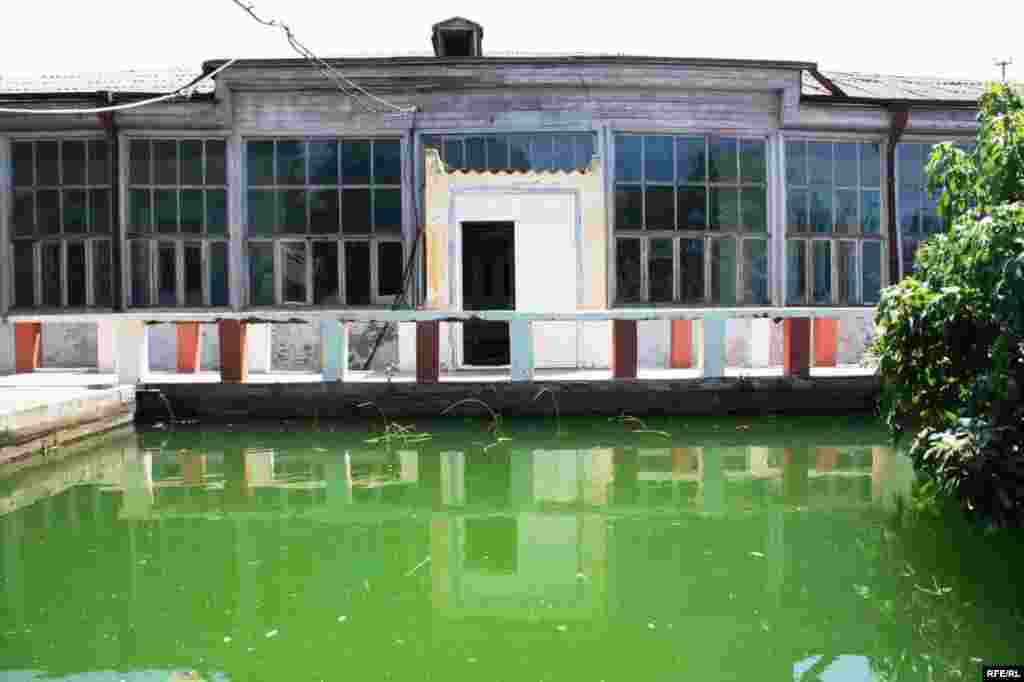 "Abşeron" sanatoriyasında bir gün #11