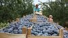 Producători agricoli care dețin uscătorii de fructe și mori s-au trezit cu „surprize” din partea statului