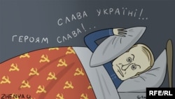 Карикатура Євгенії Олійник, 21 листопада 2014 року