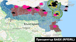 африканската свинска чума во Бугарија