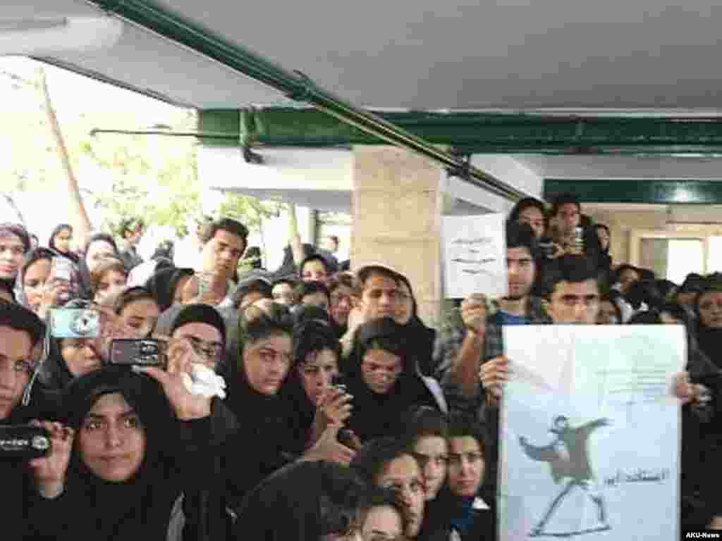 دانشجویان معترض