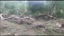 Дар Колумбия селу лой ҳаёти беш аз 100 нафарро аз байн бурд