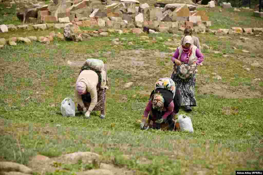 Qədim şəhərcikdə yemlik yığan yaxınlıqdakı kənd sakinləri.