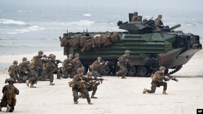 Военнослужащие НАТО на учениях в Литве