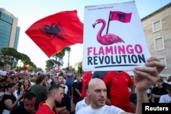Protesti poznati kao Flamingo revolucija dobili su ovo ime zbog velike prisutnosti flamingosa na području gde je planirana izgradnja luksuznog turističkog rizort. Fotografija protest u Tirani, 8. juna 2026.