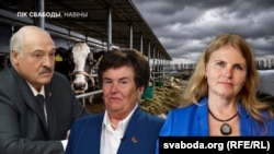 Ілюстрацыйны каляж 