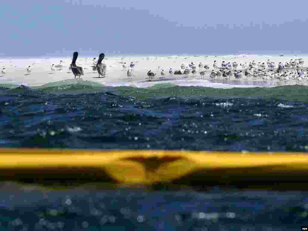 Нафта ў Мэксіканскім заліве.