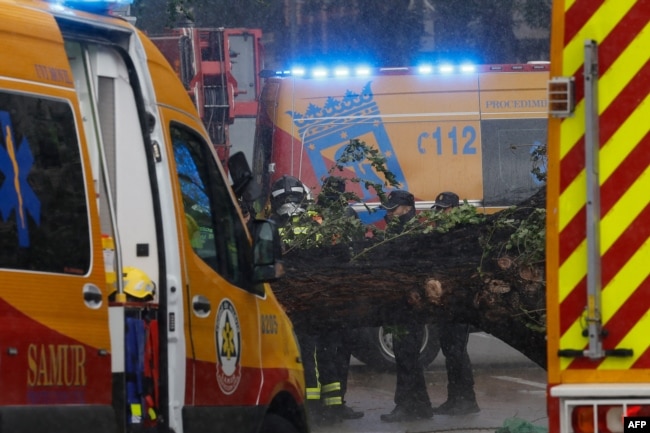 Zjarrfikësit duke e larguar një pemë të rrëzuar në trotuar gjatë stuhisë Ciaran, e cila vrau një grua në Madrid, 2 nëntor 2023.