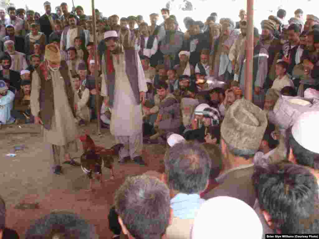 The Friday afternoon chicken fights in Kabul were a favorite pastime that was banned by the Taliban. Men bet on winners in the capital&#39;s Garden of Babur, built around the marble grave of the 16th-century Chagatai Turkic conqueror of India who created the Moghul dynasty, famous for building the Taj Mahal.