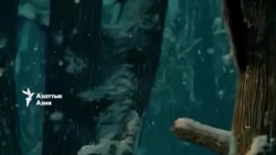 Новый год без салютов. Как фильм призывает отказаться от фейерверков 