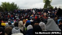 Беженцы на границе между Сербией и Хорватией