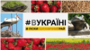 Ліски: полуничний рай | #ВУКРАЇНІ