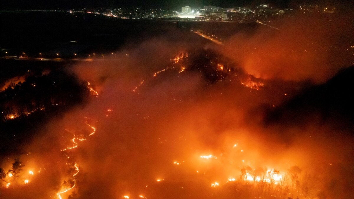 სამხრეთ კორეაში ტყის ხანძრების შედეგად 24 ადამიანი დაიღუპა