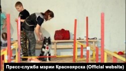 Занятия в кинологическом классе