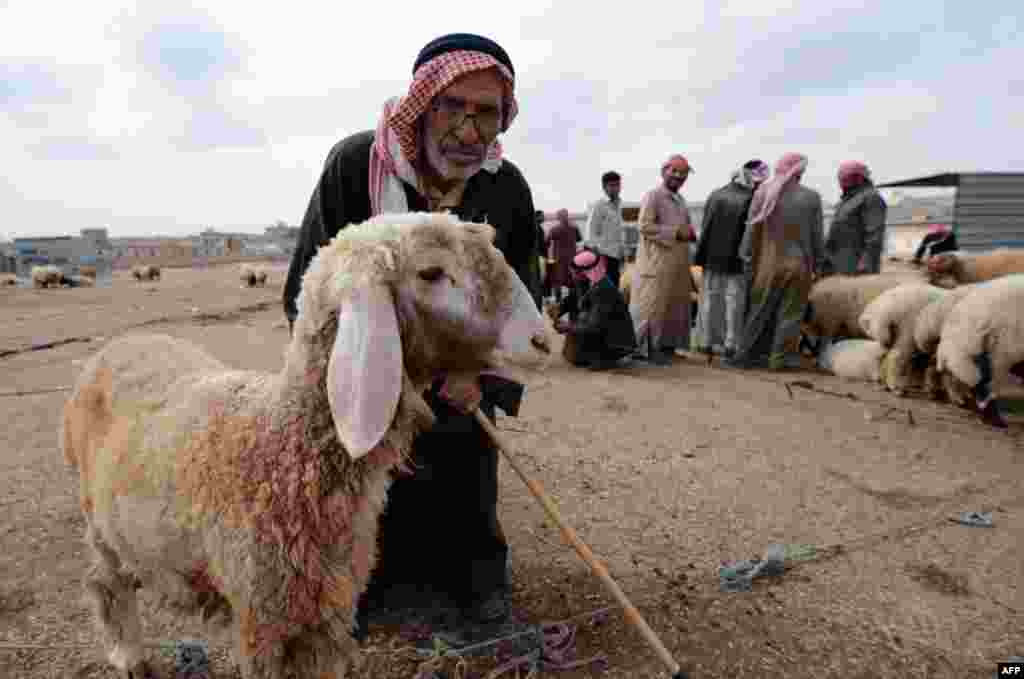 A Syrian man with a sheep at a market set-up on the outskirts of the northern city of Aleppo.