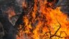 ادامه آتش‌سوزی در جنگل‌های ایران: این بار منطقه حفاظت‌شده سرخ‌آباد