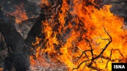 تصویر، آرشیوی است.