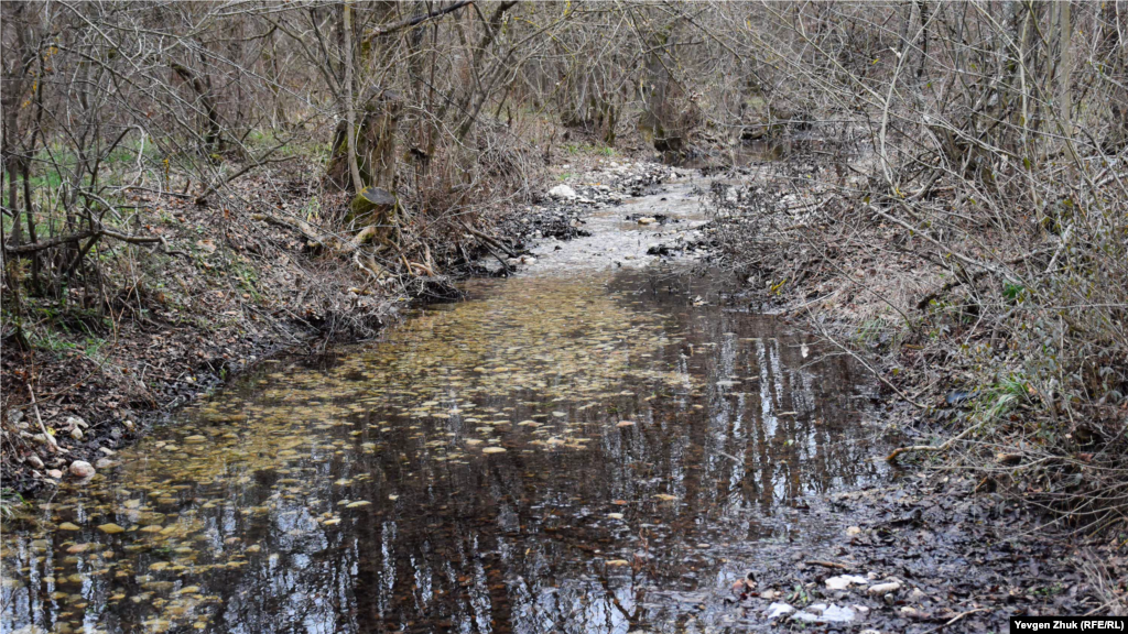 У річці Арманка, що впадає в Чорноріченське водосховище між селами Павлівка і Підгірне, з&#39;явилася вода