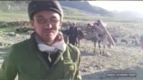 Тажикстанга качкан ооган кыргыздары артка кайтарылды