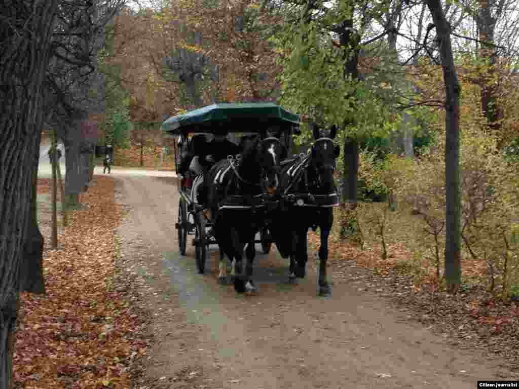 Венерчу паркехь. &nbsp;