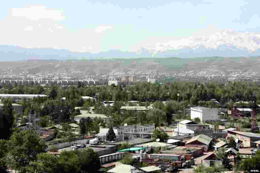 Бомпӯшиҳои рангини Душанбе #59