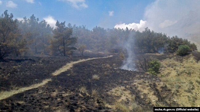Последствия пожара в лесной местности под Феодосией, июнь 2019 года