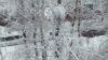 Record Snowfall Hits Moscow, Kills One