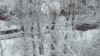 Росія: через сильний снігопад у Москві загинула людина