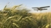 Президент Российского зернового союза Аркадий Злочевский – о последствиях роста цен на зерно